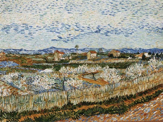 Reproductions and Copies of masterpieces oil on canvas Vincent Van Gogh revisited by Ida Parigi’s paintings