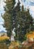 Reproductions and Copies of masterpieces oil on canvas Vincent Van Gogh revisited by Ida Parigi’s paintings: Cypresses