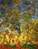 Reproductions and Copies of masterpieces oil on canvas Vincent Van Gogh revisited by Ida Parigi’s paintings: Trees in the Garden of Saint-Paul Hospital